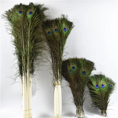 40-50cm Natural Peacock Feather for Dress Wedding Party Banquet Peacock Feather for Sale