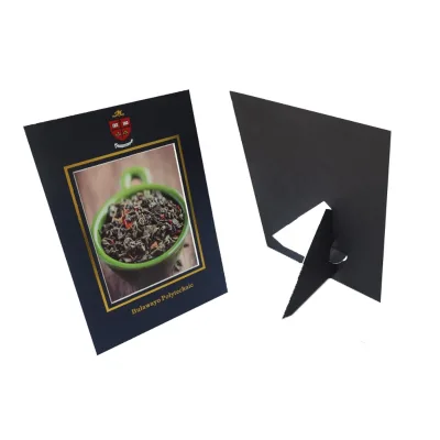 Manufacturer Direct Sales Simple Removable Environmentally Friendly Propped Precut Paper Matboard Photo Frame with Family