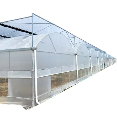 Horticultural Multi-span Greenhouse Double-layer Protection Shading Heat Insulation Grade 1 Hot-Dip Galvanized Frame