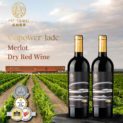 High Quality Premium Vino Chinese Dry Red Wine 100% Merlot Grape 10 Years Red Wine for Restaurant
