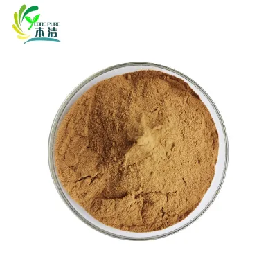 Hot Sale Pure Natural Ocimum Sanctum Extract Powder 2.5% Ursolic Acid Bulk Holy Basil Extract