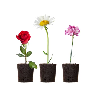 J&C Smart Flower Foram With Nutrition 10 Pieces/set Grow Sponges Seedling Starter Sponges Hydroponic Sponge