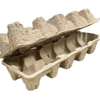Egg Carton Molded Pulp Egg Tray Recycled Paper Pulp Packaging Biodegradable Egg Packaging Wholesale Supplier