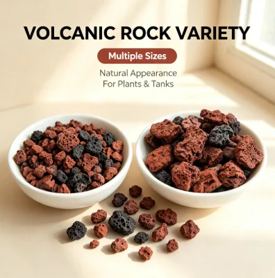 Pumice Natural Lava Rock Stone for Aquarium All Specifications Red and Black Volcanic Rock for Flower Pavement