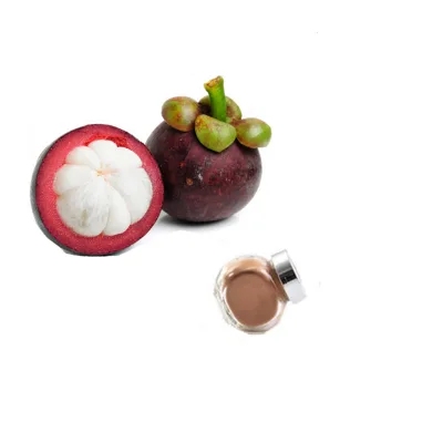 Healthcare Supplement Mangosteen Shell Extract Mangosteen Mangostin Extract Powder