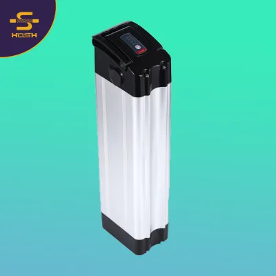 Hot Selling Silver Fish Type Electric Bicycle 36V 48V with 18650 Lithium Case Box for E-Bike