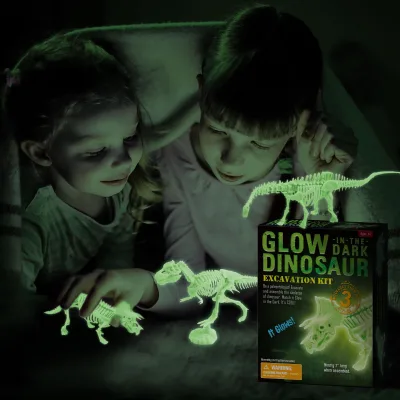 Wholesales STEM DIY Dinosaur Excavation Kit Dig up Dino Fossil 3D Skeleton Dinosaur Excavation Kit Archeology Kit for Children