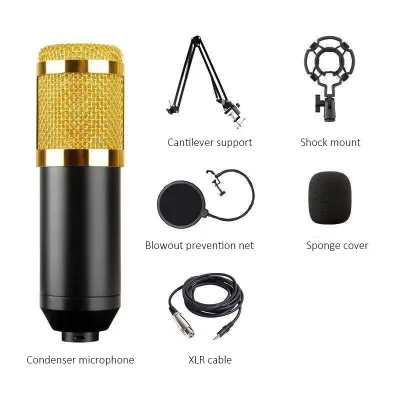 BM-800 Cardioid Bm800 Condenser Microphone With High Quality