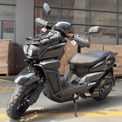 2026 New Arrival Disiyuan Tank3000 Adult Dirt Bike 60V Brushless Motor Lithium Battery 7-Speed Steel Frame 16" Wheels Disc