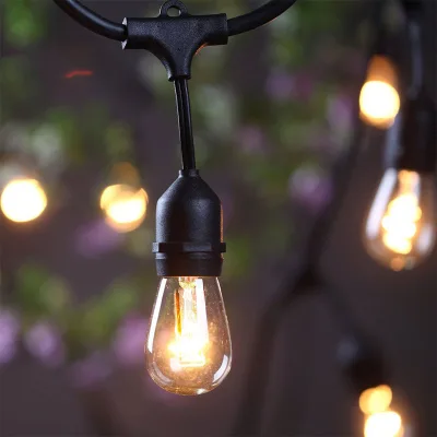 JAIYI the Most Popular S14 Multi-mode String of Lights with Remote Control for Wedding celebrations