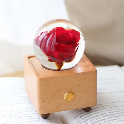 New Product Ideas 2025 Eco-Friendly LED Night Light Rechargeable Glass Ball Valentines Mothers Day Gift