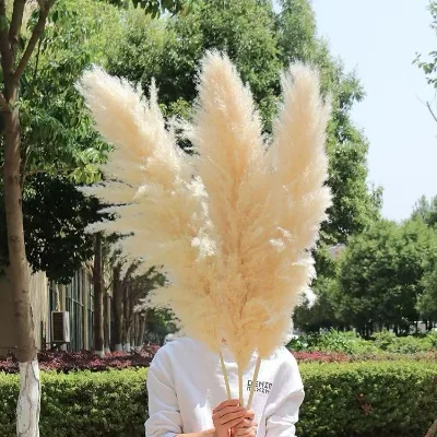 Natural Dried Pampas Grass & Wheat Bouquet Set Boho Style Dried Flowers for Home Decor