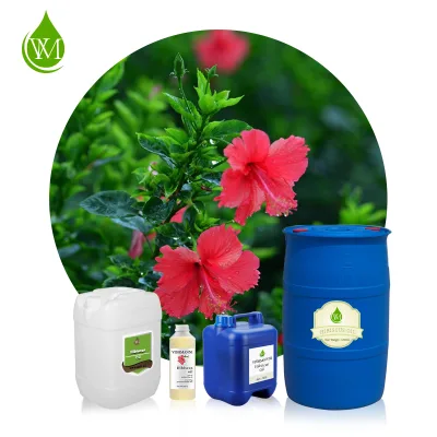 Wholesale 100% Pure Natural Raw Cold Pressed Hibiscus Oil 3-Year Shelf Life MSDS Certified in Bulk Price for Skin Care Hair Care