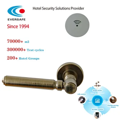 Zinc Alloy,ABS Hotel Door Lock Wholesale Smart Door Locks