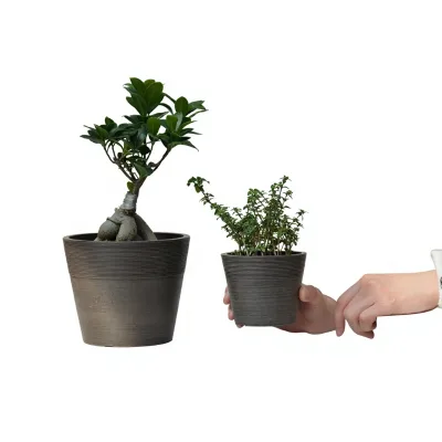 For Indoor Vertical Jun Porcelain Clay & Polymer Resin Eco-Friendly Propagator Kit for Flower and Green Plants