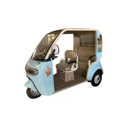 Customizable 3-Wheel 800w Electric Scooter for Adults 48v Open Body Electric Scooter Option