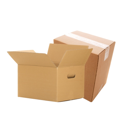 Carton Box (5kg 10 Kg)/Packaging Boxes