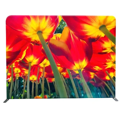 Expomax Portable Frame Background Tension Fabric Photo Backdrop Photography E17U03