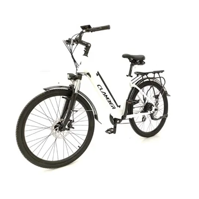 36v 250w Rear Wheel Motor with Lithium Battery 26'' Cheap Electric Bike Bicycle