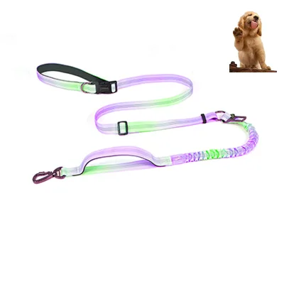 Pet Training Supplies Manufacturer Wholesale Pet Obedience Behavior Gear Dog Shock Collar Leash Harness Set