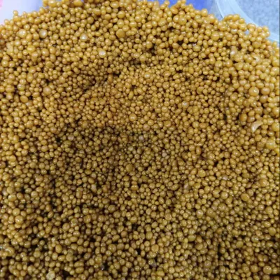 Potassium Humate Black Shiny Humic and Fulvic Acid Supplement Humic Fulvic Acid Powder for Soil