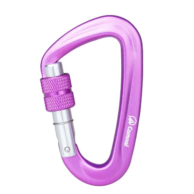Aluminum Alloy Outdoor Climbing Safety Buckle with Quick-Release Keychain Backpack Hammock Swing Hooks CA-K9941