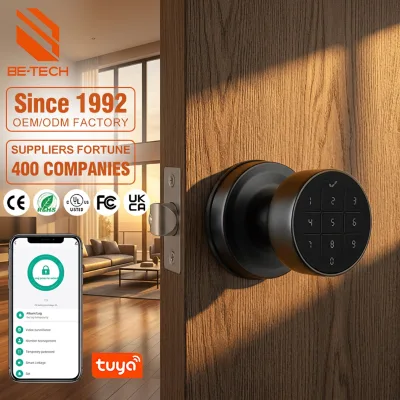 Professional Factory Simple Intelligent Door Lock Tuya App Wood Door Aluminum Alloy Electronic Home Lock