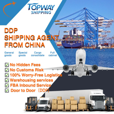 Sea Freight China to Mexico Lcl Fcl Furniture Logistics
