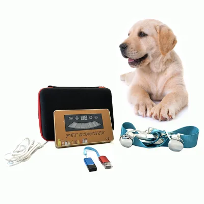 Massage Machine Goods Perfumaria Pet Scanner Theraherz Quantum Therapy Household Detectortester