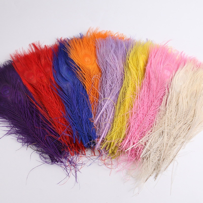 25CM-30CM Peacock Tail Feather