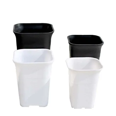 Square Minimalist Bonsai Pot Tall Waist Thickened Breathable Succulent Seedling Wholesale Nursery Container