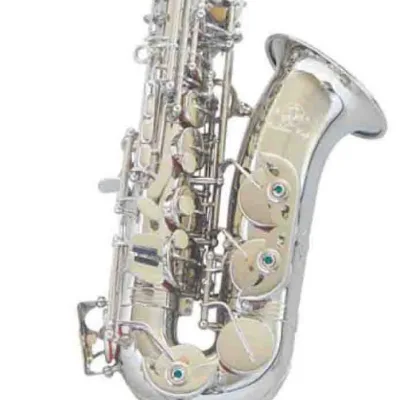 Whole Sale High Grade Gold Alto Saxophone, Musical Instruments, Wind Instruments ABC1102N