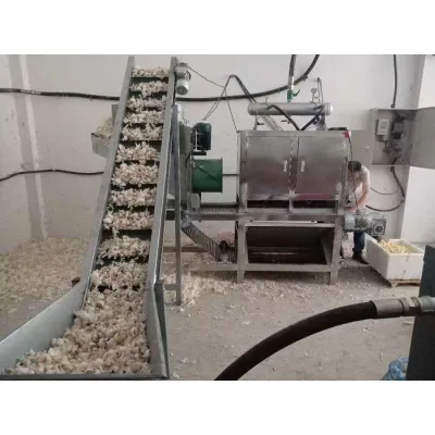 China Factory Supply Commercial-Grade 700mm Width Garlic Peeling Machine with Motor for Vegetable Processing Plants