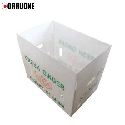 Reusable for PP Corrugated Plastic Box Rectangle Hollow Board Turnover Box for Vegetables and Foods for Candy Packaging