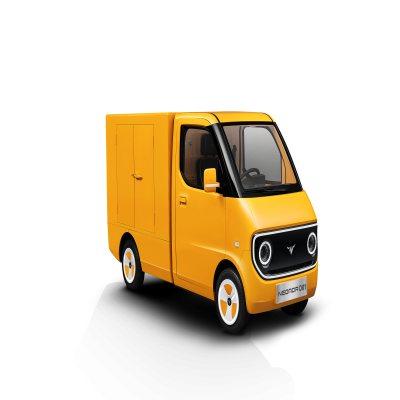 Factory-direct Electric Van Small Mail Delivery Car With Enclosed Cargo Box