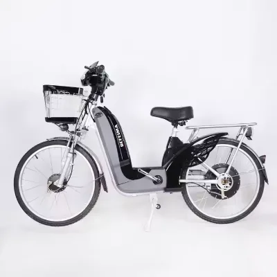 24-Inch Smart Electric Urban Cargo Bike Kit 48V Battery & 500W Motor for City Commute
