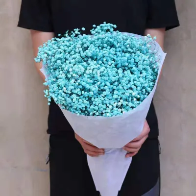 500g Per Bunch Large Bundles Natural and Real Dried Baby's Breath Gypsophila Flower Sale in Bulk