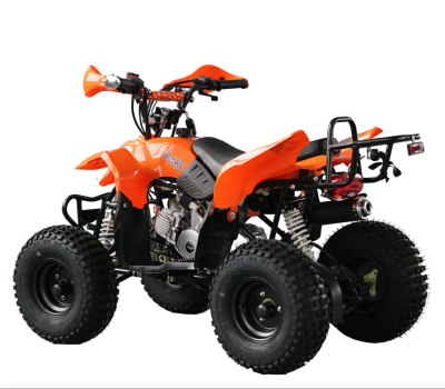 110cc Atv Plastic Body Atv Power Quad Bike 110cc Atv