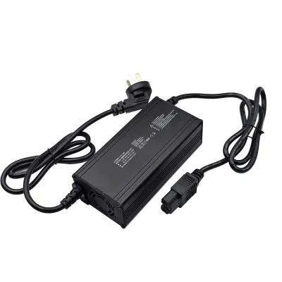 Aluminum Fan Cooling Multiple Protections 73V Lithium Iron Phosphate Charger 10A Electric Bikes 2 Wheeled 3 Wheeled Charger