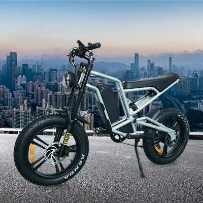 Low Price China Cheap Electric Bikes 7 Speed Foldable Electric Bike Rear Hub Motor Electric Dirt Bike Adult