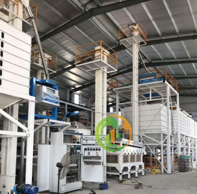 Complete Set Coffee Production Line for Seed Cleaning and Sorting/classification/processing