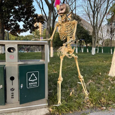 Halloween Scary Hanging Life Size Full Body Human Skeleton Movable Joints Plastic Halloween Skeleton