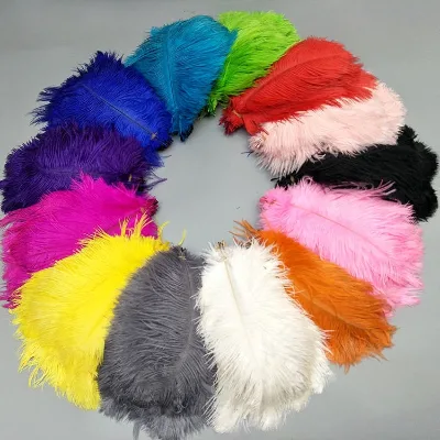 Ostrich Feathers 15-20cm White DIY Craft Materials Decorative Clothing & Jewelry Accessories