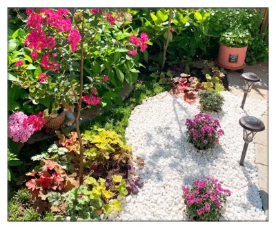 Factory Direct Supply Good Price Natural Stone Snow White Polar White Pebble Cobble for Outdoor