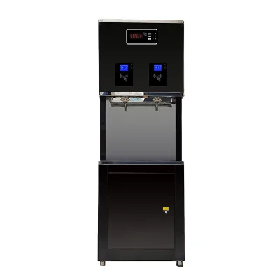 IC Card Control Drink Water Dispenser for School 220V Water Filter Purifier