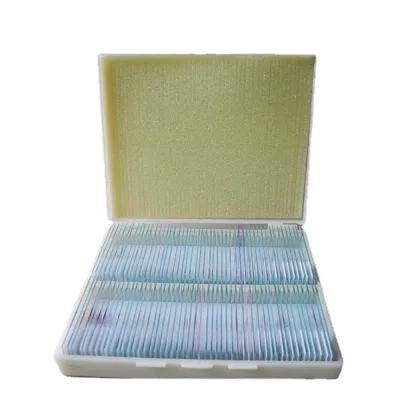 High Grade Chicken and Frog Embryo Microscope Prepare Slides for Medical Science
