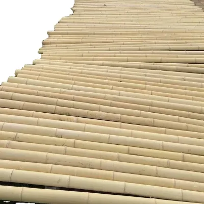 Hot Sales Natural Large Bamboo Poles Philippines with Low Price
