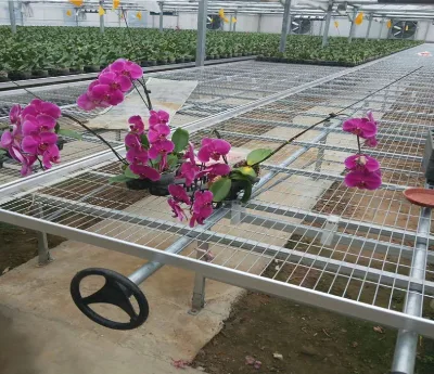 Wire Mesh Wire Rolling Benches Seedbed for Agricultural Commercial Greenhouse Mesh Net Nursery Seedbed