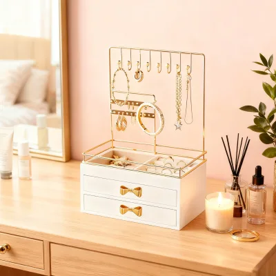 Plastic Jewelry Organizer & Multifunction Display Stand, Multi-layer Ear Ring and Necklace Storage Box, Modern Jewelry Organizer