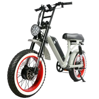 Super Electric Mountain Bike Aluminum Frame Dual 750w 48V 20ah Electric Bicycle 20" Electric Bike E Bike 80km Fast Speed Ebike